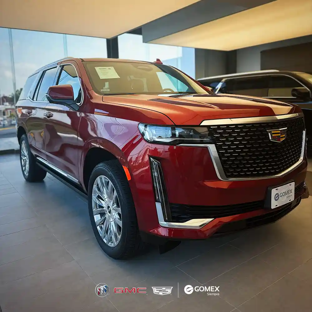 BUICK-GMC-CADILLAC GOMEX VERACRUZ photo 3