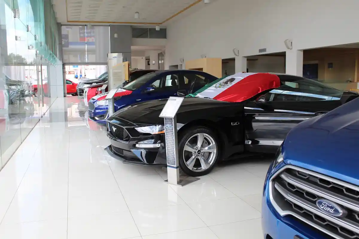 Ford Zacatecas photo 2