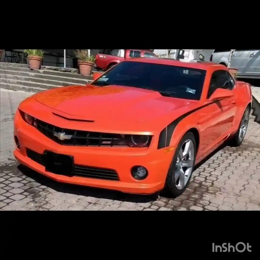 SPA MEXICO Servicio Profesional Automotriz photo 6