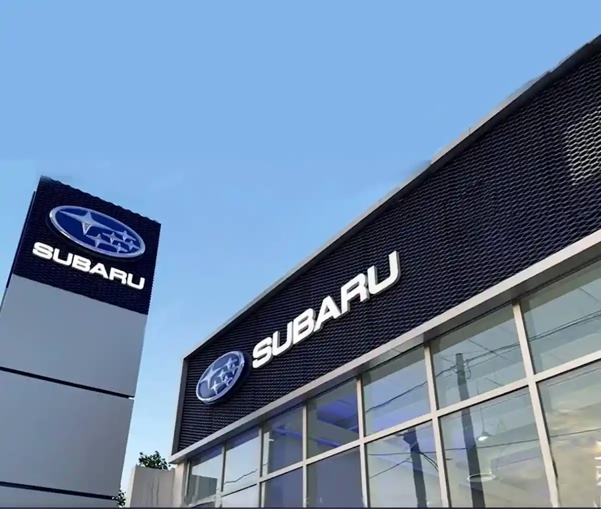 SUBARU GONZALITOS photo 5